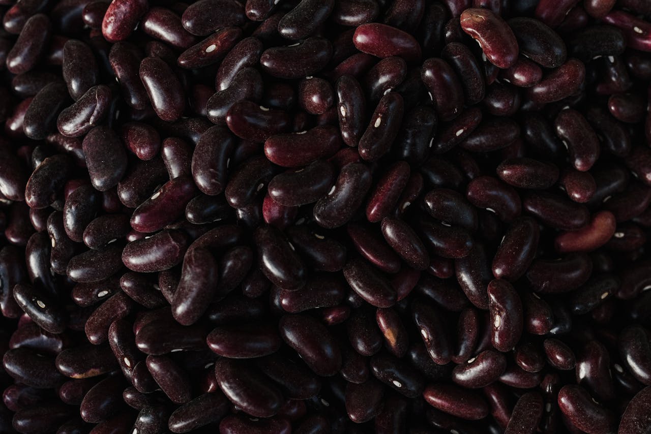 black beans for burger
