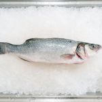 fish in ice